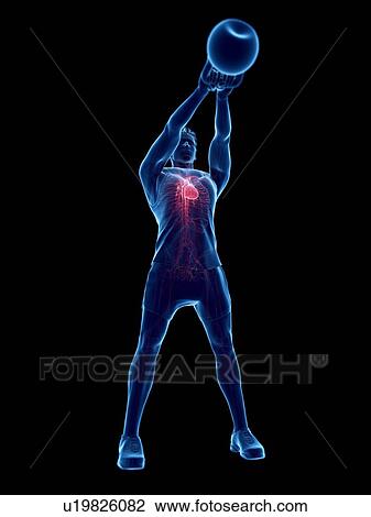 Stock Image - Man doing kettlebell workout, conceptual computer illustration.. Fotosearch