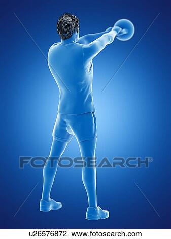 Man doing kettlebell workout, conceptual computer illustration. View Large Photo Image Stock Image - Man doing kettlebell workout, conceptual computer illustration.. Fotosearch