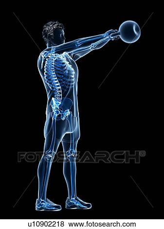 Man doing kettlebell workout, conceptual computer illustration. View Large Photo Image Stock Photo - Man doing kettlebell workout, conceptual computer illustration.. Fotosearch
