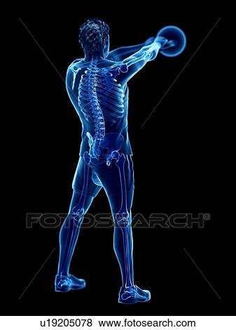 Stock Photo - Man doing kettlebell workout, conceptual computer illustration.. Fotosearch