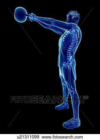 Stock Photo - Man doing kettlebell workout, conceptual computer illustration.. Fotosearch