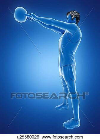 Stock Photograph - Man doing kettlebell workout, conceptual computer illustration.. Fotosearch