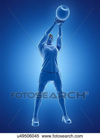 Stock Photography - Man doing kettlebell workout, conceptual computer illustration.. Fotosearch