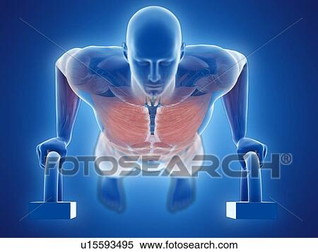 Stock Photography - Man doing push-ups, computer illustration.. Fotosearch
