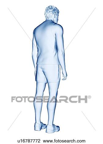 Stock Image - Man, illustration. Fotosearch