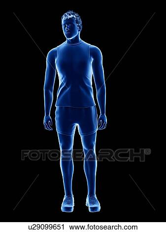 Man, illustration View Large Photo Image Stock Image - Man, illustration. Fotosearch