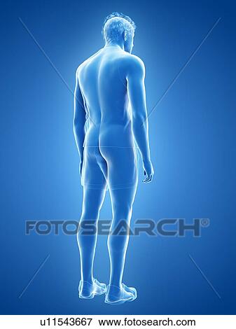 Man, illustration View Large Photo Image Stock Photo - Man, illustration. Fotosearch