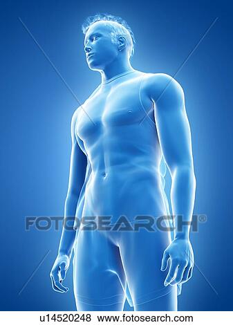 Man, illustration View Large Photo Image Stock Photo - Man, illustration. Fotosearch