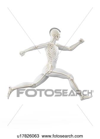 Man running, illustration. View Large Photo Image Stock Image - Man running, illustration.. Fotosearch