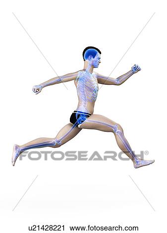 Man running, illustration. View Large Photo Image Stock Image - Man running, illustration.. Fotosearch