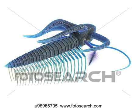 Stock Photography - Marella marine arthropod, computer illustration.. Fotosearch