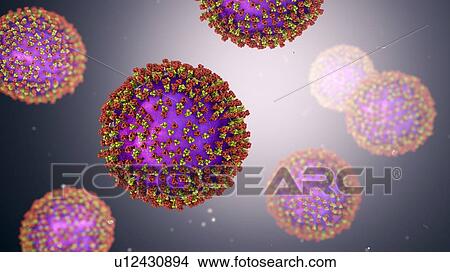 Picture - Measles virus particle, computer illustration. This virus, from the Morbillivirus group of viruses, consists of an RNA (ribonucleic acid) core surrounded by an envelope studded with surface proteins haemagglutinin-neuraminidase and fusion protein,.... Fotosearch