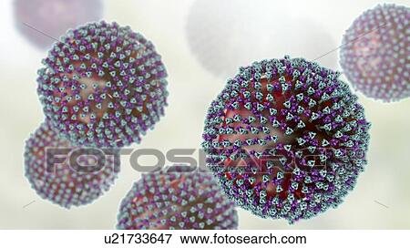 Stock Photo - Measles virus particle, computer illustration. This virus, from the Morbillivirus group of viruses, consists of an RNA (ribonucleic acid) core surrounded by an envelope studded with surface proteins haemagglutinin-neuraminidase and fusion protein,.... Fotosearch
