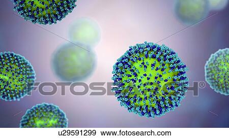 Stock Photo - Measles virus particle, computer illustration. This virus, from the Morbillivirus group of viruses, consists of an RNA (ribonucleic acid) core surrounded by an envelope studded with surface proteins haemagglutinin-neuraminidase and fusion protein,.... Fotosearch