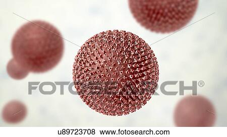 Stock Photo - Measles virus particle, computer illustration. This virus, from the Morbillivirus group of viruses, consists of an RNA (ribonucleic acid) core surrounded by an envelope studded with surface proteins haemagglutinin-neuraminidase and fusion protein,.... Fotosearch