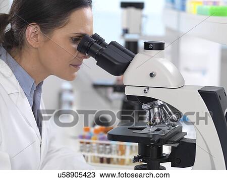 Medical screening. Scientist examining a glass slide containing a human sample under a microscope. View Large Photo Image Stock Image - Medical screening. Scientist examining a glass slide containing a human sample under a microscope.. Fotosearch