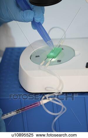 Stock Photography - Microfluidic lab on chip (LOC) in a microbiology lab.. Fotosearch