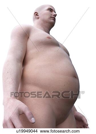 Picture - Obese man, computer illustration.. Fotosearch