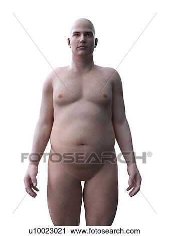 Stock Image - Obese man, computer illustration.. Fotosearch