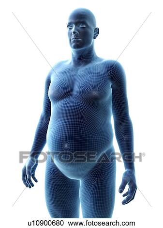 Obese man, computer illustration. View Large Photo Image Stock Image - Obese man, computer illustration.. Fotosearch