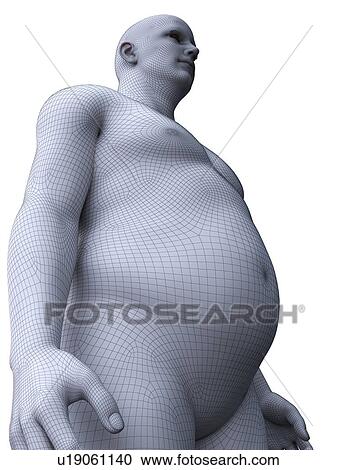Stock Image - Obese man, computer illustration.. Fotosearch
