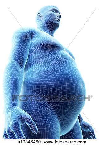 Stock Image - Obese man, computer illustration.. Fotosearch