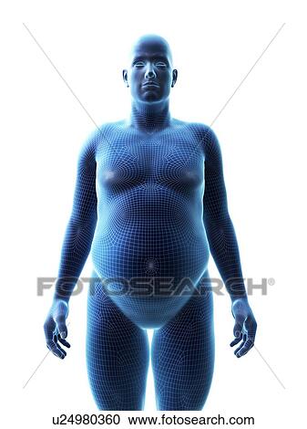 Stock Image - Obese man, computer illustration.. Fotosearch