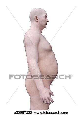 Stock Image - Obese man, computer illustration.. Fotosearch