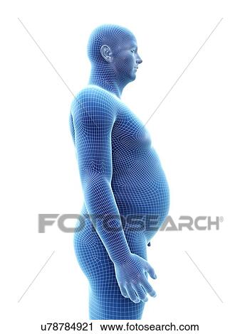 Stock Image - Obese man, computer illustration.. Fotosearch