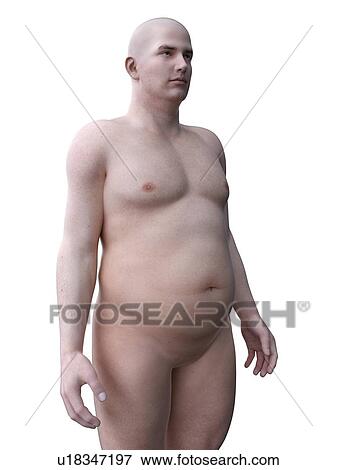 Stock Photo - Obese man, computer illustration.. Fotosearch