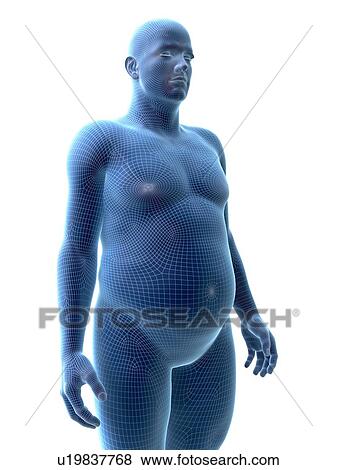 Stock Photo - Obese man, computer illustration.. Fotosearch