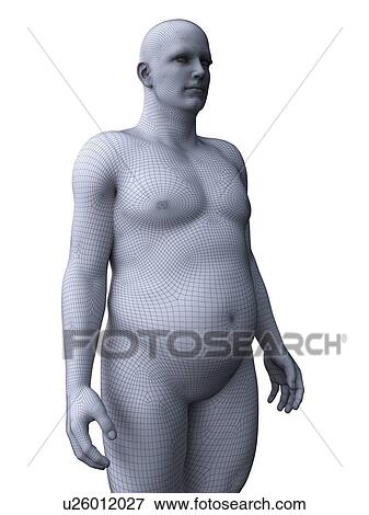 Stock Photo - Obese man, computer illustration.. Fotosearch