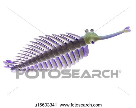 Stock Image - Opabinia marine arthropod, computer illustration.. Fotosearch