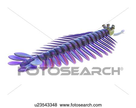 Stock Photo - Opabinia marine arthropod, computer illustration.. Fotosearch
