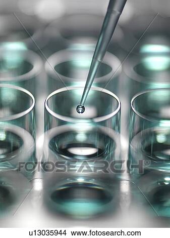 Picture - Pipetting sample into a multiwell plate ready for analysis.. Fotosearch