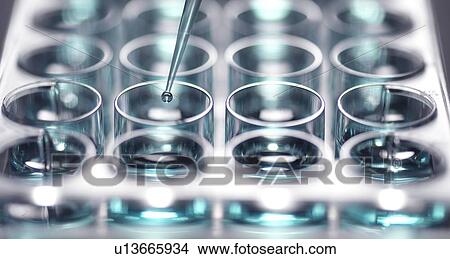 Pipetting sample into a multiwell plate ready for analysis. View Large Photo Image Picture - Pipetting sample into a multiwell plate ready for analysis.. Fotosearch