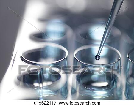 Pipetting sample into a multiwell plate ready for analysis. View Large Photo Image Stock Photo - Pipetting sample into a multiwell plate ready for analysis.. Fotosearch