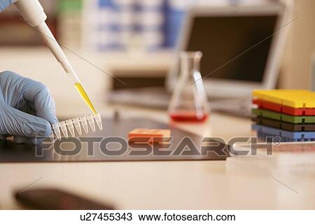 Pipetting sample. View Large Photo Image Stock Image - Pipetting sample.. Fotosearch
