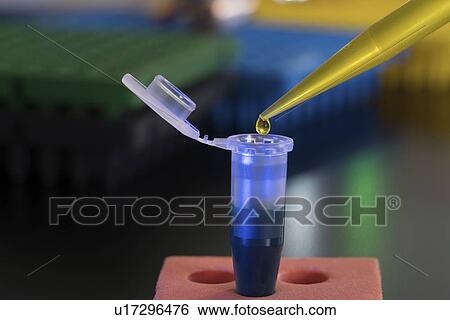Pipetting sample. View Large Photo Image Stock Photograph - Pipetting sample.. Fotosearch