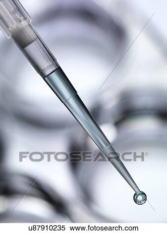 Stock Photography - Pipetting sample.. Fotosearch