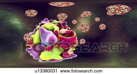 Stock Image - Polio virus particle, 360 degree panorama view computer illustration. Polio virus particles (virions) are composed of an outer protein coat (capsid) encasing RNA (ribonucleic acid), the genetic material of the virus. Polio virus causes poliomyelitis,.... Fotosearch