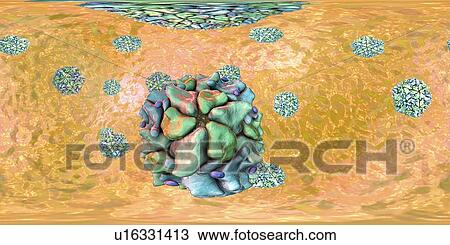 Polio virus particle, 360 degree panorama view computer illustration. Polio virus particles (virions) are composed of an outer protein coat (capsid) encasing RNA (ribonucleic acid), the genetic material of the virus. Polio virus causes poliomyelitis,... View Large Photo Image Stock Image - Polio virus particle, 360 degree panorama view computer illustration. Polio virus particles (virions) are composed of an outer protein coat (capsid) encasing RNA (ribonucleic acid), the genetic material of the virus. Polio virus causes poliomyelitis,.... Fotosearch