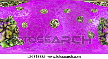 Polio virus particle, 360 degree panorama view computer illustration. Polio virus particles (virions) are composed of an outer protein coat (capsid) encasing RNA (ribonucleic acid), the genetic material of the virus. Polio virus causes poliomyelitis,... View Large Photo Image Stock Image - Polio virus particle, 360 degree panorama view computer illustration. Polio virus particles (virions) are composed of an outer protein coat (capsid) encasing RNA (ribonucleic acid), the genetic material of the virus. Polio virus causes poliomyelitis,.... Fotosearch