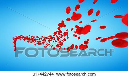 Red blood cells, computer illustration. View Large Photo Image Picture - Red blood cells, computer illustration.. Fotosearch