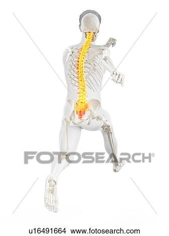 Runner with back pain, conceptual illustration. View Large Photo Image Picture - Runner with back pain, conceptual illustration.. Fotosearch