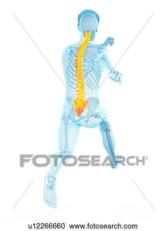 Runner with back pain, conceptual illustration. View Large Photo Image Stock Image - Runner with back pain, conceptual illustration.. Fotosearch