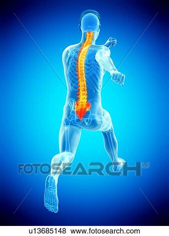 Runner with back pain, conceptual illustration. View Large Photo Image Stock Photo - Runner with back pain, conceptual illustration.. Fotosearch