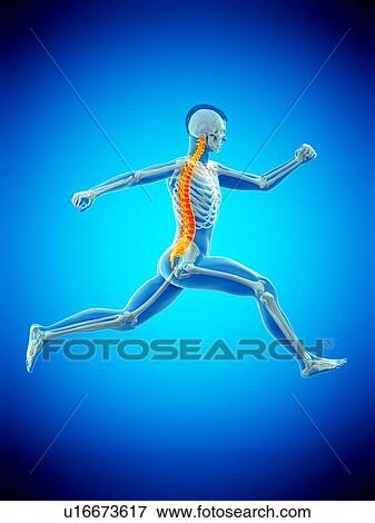 Runner with back pain, conceptual illustration. View Large Photo Image Stock Photo - Runner with back pain, conceptual illustration.. Fotosearch