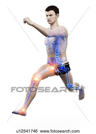 Runner with joint pain, conceptual illustration. View Large Photo Image Stock Photograph - Runner with joint pain, conceptual illustration.. Fotosearch