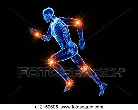 Runner with joint pain, conceptual computer illustration. View Large Photo Image Stock Photography - Runner with joint pain, conceptual computer illustration.. Fotosearch